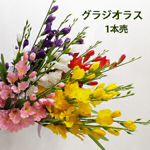 すずらん　1 imgrc0066395056.gif