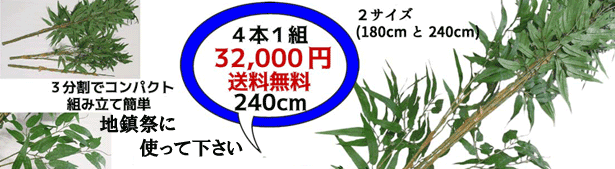 楽天市場】七夕 笹 お勧め【条件付送料無料】180cm 七夕笹 バンブー 1本売 6,300円 笹(組立式 3分割)3301-180 :  造花の店ａｚｕｍａ