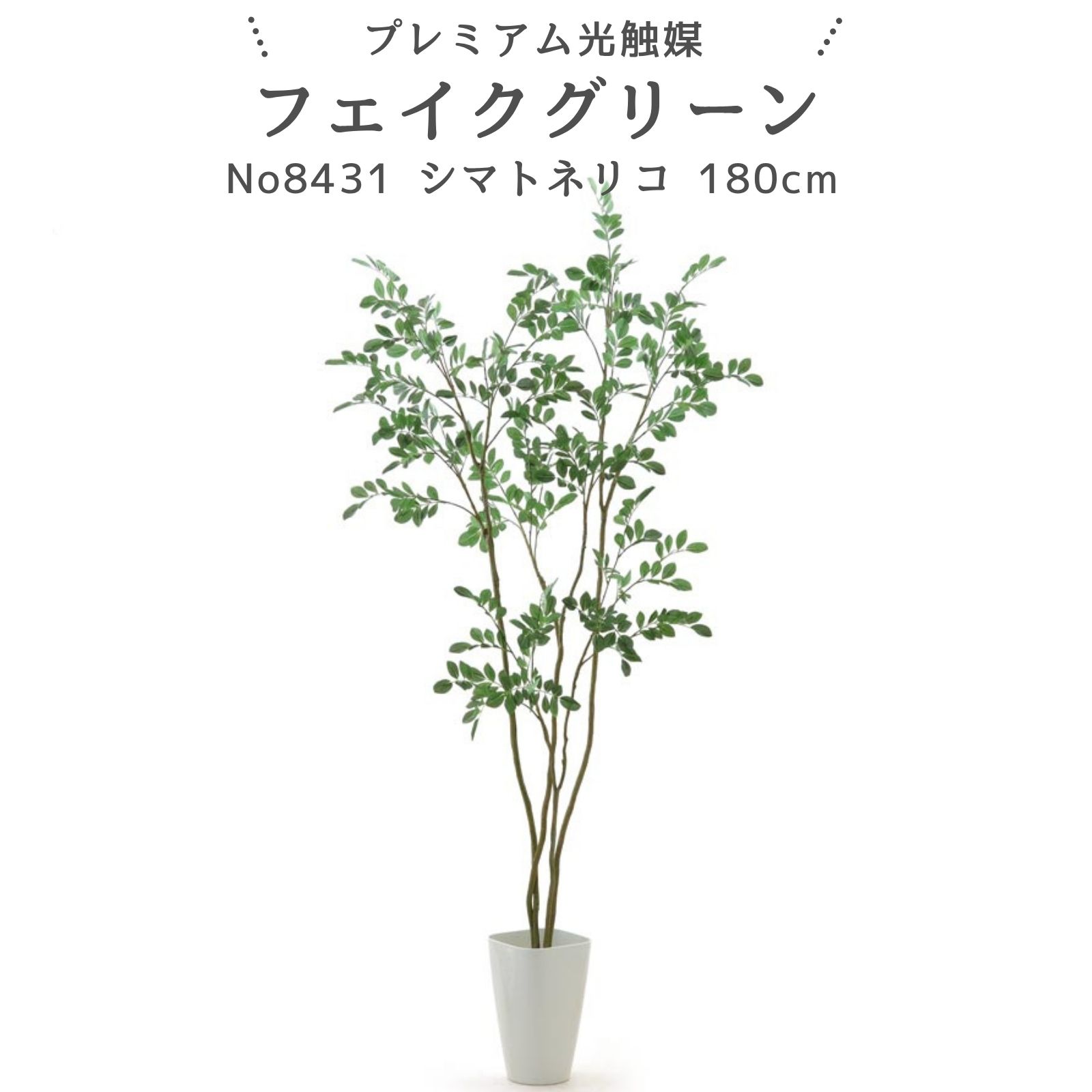フェイクグリーン シマトネリコ 180cm 光触媒 観葉植物 造花 リアル 室内 リビング 玄関 インテリア おしゃれ 人工観葉植物 消臭 抗菌 プレミアム光触媒フェイクグリーン No8431 |スマートポット付|ヤシの繊維付|zoukacomショップ 店