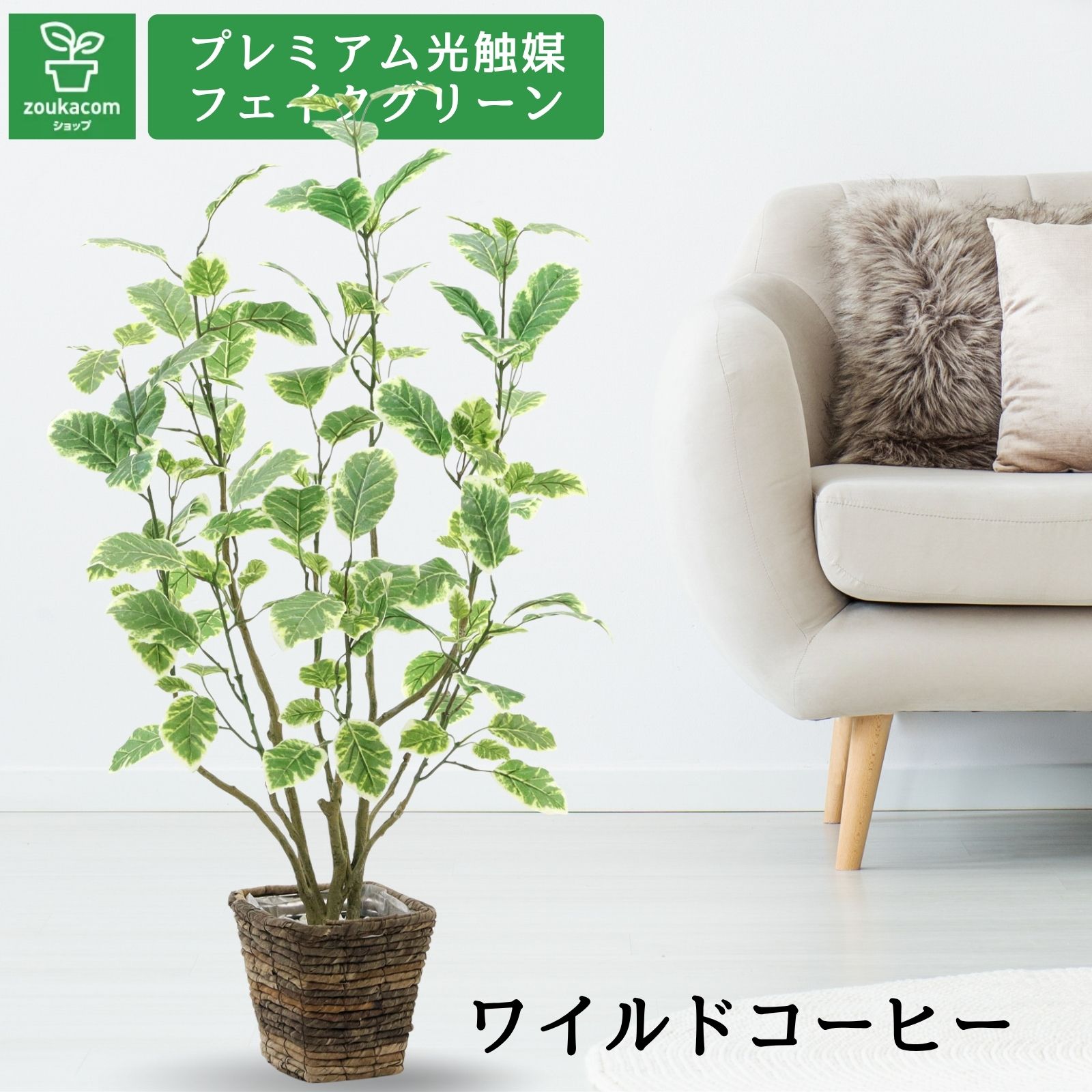 楽天市場】No93691 プレミアム光触媒フェイクグリーン 「ポトス 葉12枚