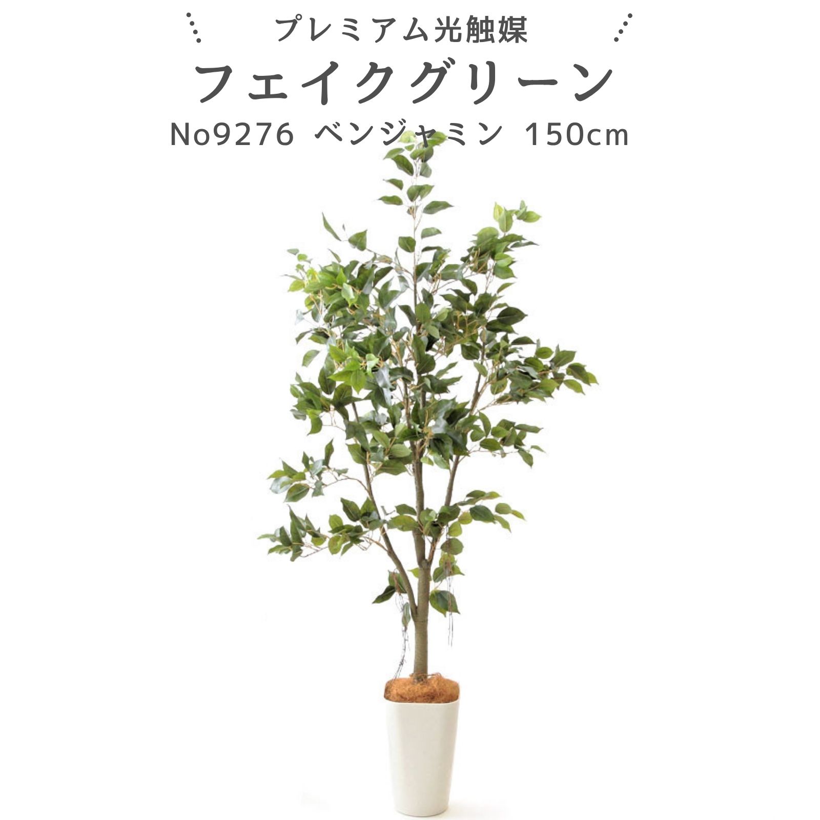 楽天市場】フェイクグリーン フィカス150cm (OS605-5-352