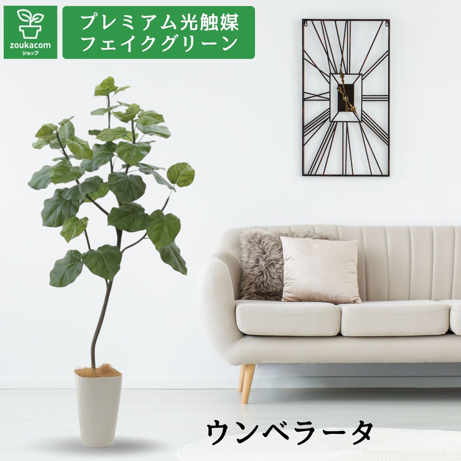 楽天市場】No9276 プレミアム光触媒フェイクグリーン 「フィカス