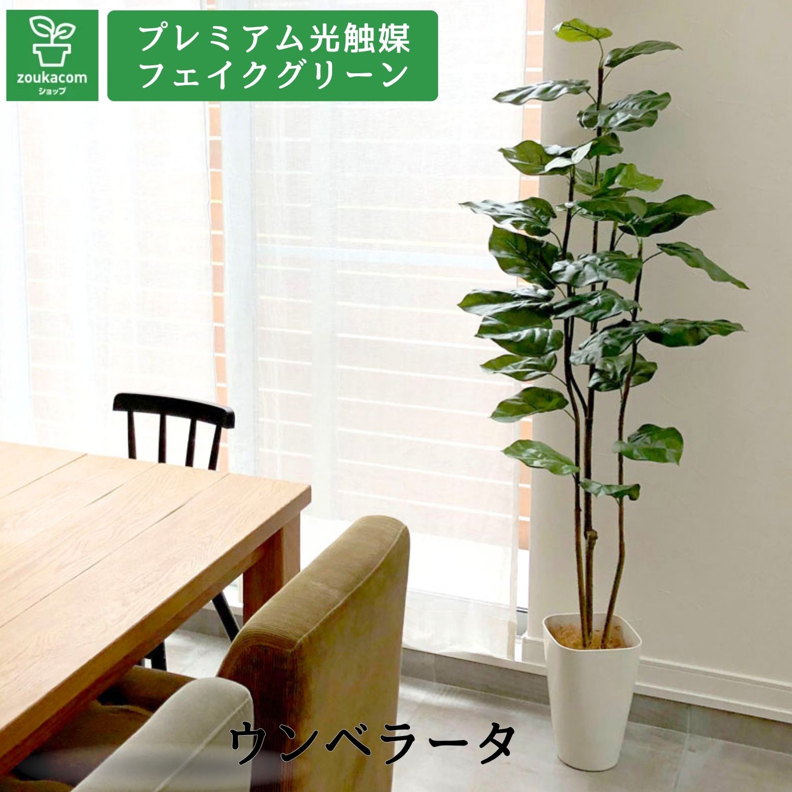 楽天市場】No93691 プレミアム光触媒フェイクグリーン 「ポトス 葉12枚