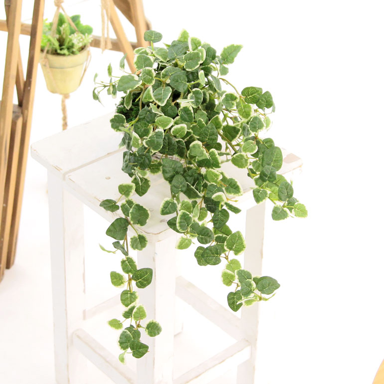 楽天市場 フェイクグリーン 人工 観葉植物 造花 光触媒 鉢 植木 葉 枝 小型 小さめ 鉢 木 おしゃれ リアル アイビー プミラ インテリア 人気 空気清浄 人工 ヤシ 繊維 玄関 リビング オフィス 部屋 かわいい 緑 シンプル 初心者 抗菌