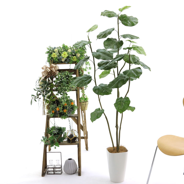 楽天市場 人工 観葉植物 造花 フェイクグリーン 150 160cm 人工 シンプル オフィス おしゃれ インテリア 大型 室内 鉢 観葉樹 空気清浄 消臭 銀 酸化チタン 光触媒 フィカス ウンベラータ 3本立 高さ150 160cm スマートポット Chic8 ヤシの繊維 日付指定 ギフト 楽天市場 人工 観葉植物 造花 フェイクグリーン 150 160cm 人工 シンプル オフィス おしゃれ インテリア 大型 室内 鉢 観葉樹 空気清浄 消臭 銀 酸化チタン 光触媒 フィカス ウンベラータ 3本立 高さ150 160cm スマートポット Chic8 ヤシの繊維 日付指定 ギフト