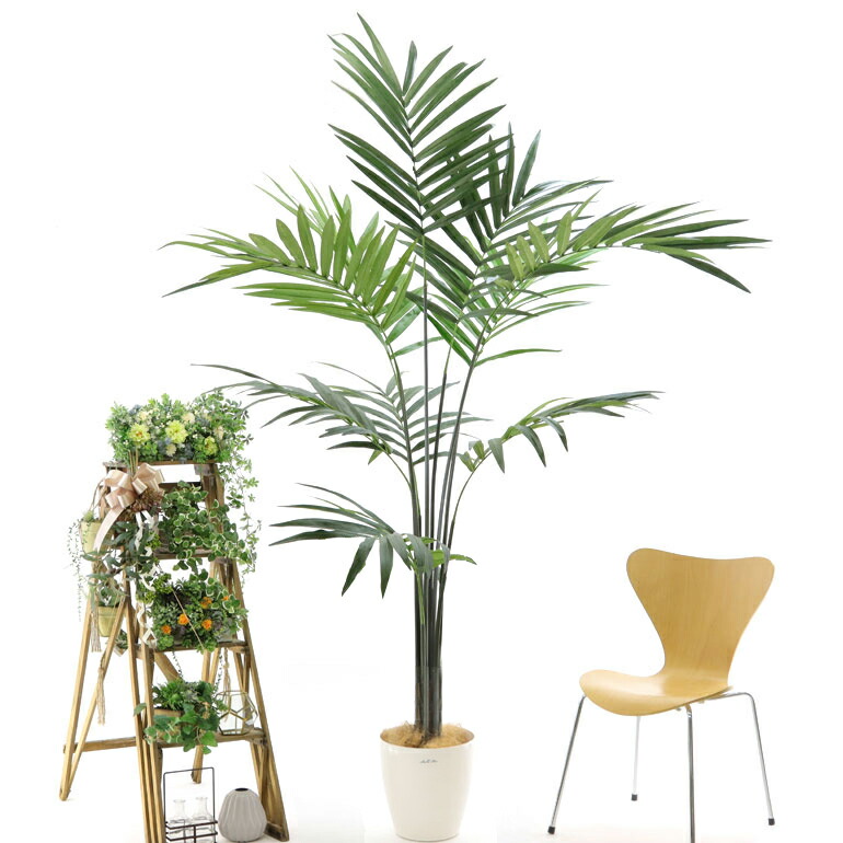 光触媒 人工 観葉植物 造花 フェイクグリーン 230 240cm シンプル オフィス おしゃれ インテリア 大型 室内 鉢 観葉樹 空気清浄 消臭 銀 酸化チタン ケンチャヤシ 高さ230 240cm ラスターポット 265 ヤシの繊維 日時指定 ギフト不可 No 組立式
