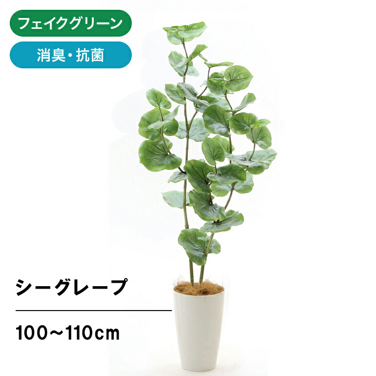 人工観葉植物 光触媒加工 ゴールドクレストツリー フェイクグリーン クリスマスツリー インテリア 植物 おしゃれ 人工樹木 ツリー 60cm 光触媒  HANAYUKI