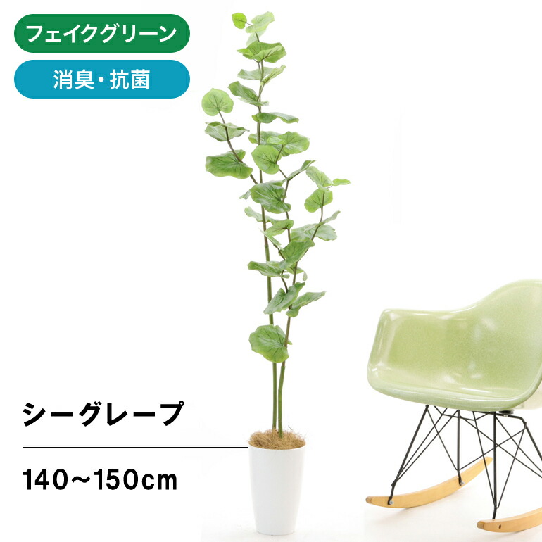本物 フェイクグリーン 人工観葉植物 観葉植物 フェイク 造花 人工 光触媒 植木 樹 シンプル オフィス おしゃれ インテリア 大型 室内 鉢 観葉樹  空気清浄 消臭 抗菌 銀 酸化チタン シーグレープ 2本立 高さ 140cm 150cm 幅40cm 奥行40cm スマートポット No32560