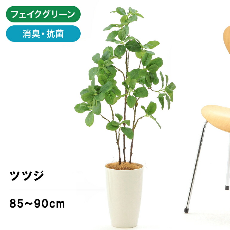 楽天市場 人工 観葉植物 造花 フェイクグリーン 110cm シンプル オフィス おしゃれ インテリア 大型 室内 鉢 観葉樹 空気清浄 消臭 抗菌 銀 酸化チタン 光触媒 ボリュームあり シェフレラ カポック Dx 高さ110cm 白丸ポット Chic7 ヤシの繊維 日時指定 ギフト不可