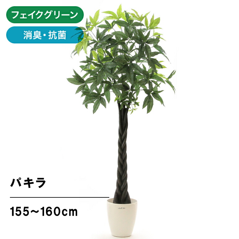 楽天市場 フェイクグリーン 人工 造花 観葉 植物 樹 光触媒 155 160cm シンプル オフィス おしゃれ インテリア 大型 室内 鉢 人工観葉樹 空気清浄 消臭 抗菌 銀 酸化チタン リアル スパイラル パキラ ラスターポット 225 組立式 日時指定 ギフト不可 No