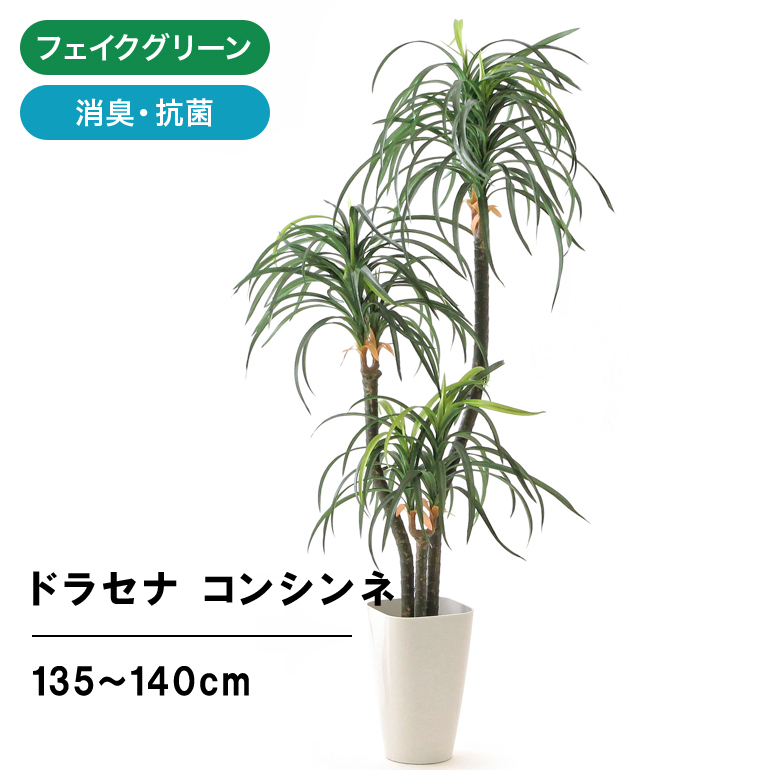 限定Ｗ特典付属 光触媒 人工観葉植物 ウォールグリーン フェイク