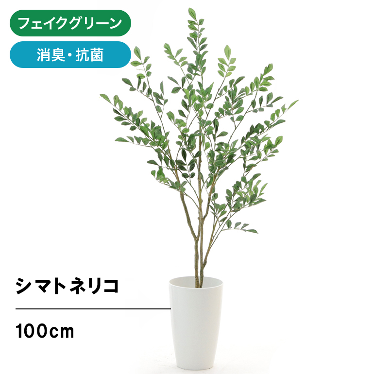 楽天市場 フェイクグリーン 人工 観葉植物 造花 光触媒 鉢 植木 葉 枝 観葉樹 シンプル オフィス おしゃれ インテリア 大型 室内 鉢 空気清浄 消臭 抗菌 銀 酸化チタン 擬木 リアル シマトネリコ 高さ100cm 幅55cm 白丸ポット Chic7 日時指定 ギフト不可