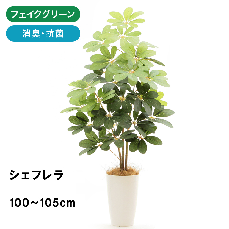 保存版 人工観葉植物 レモンリーフスプレイ 65cm フェイクグリーン 観葉植物 造花 光触媒 Ct触媒 インテリア Les 5169 G L Trademarketingforce Com Br