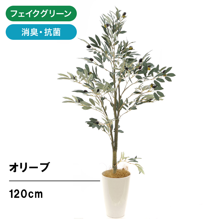 楽天市場】フェイクグリーン 人工観葉植物 観葉植物 フェイク 人工