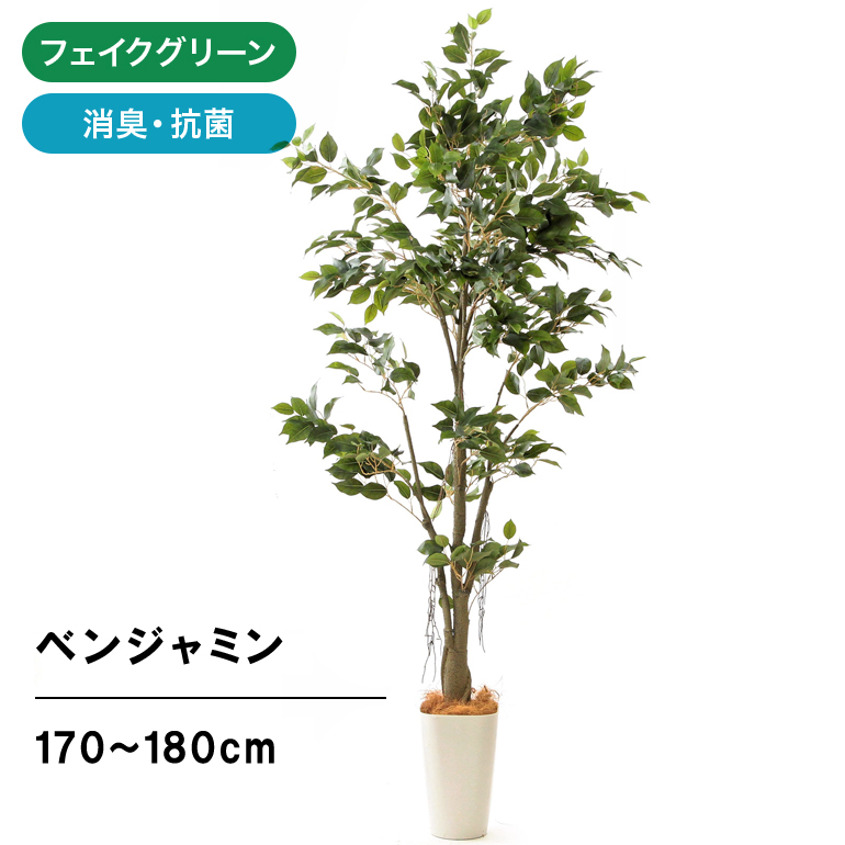 楽天市場】フェイクグリーン 観葉植物 フェイク 人工観葉植物 大型