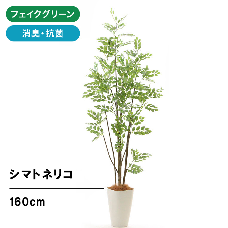 光触媒 人工観葉植物 ウォールグリーン フェイクグリーン シマトネリコ