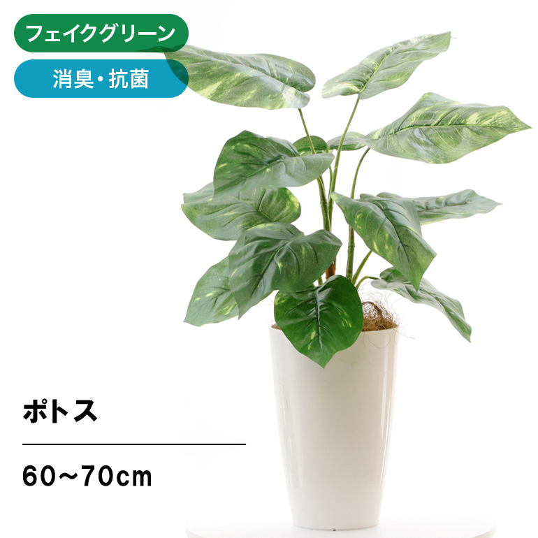 楽天市場】フェイクグリーン 観葉植物 フェイク 人工観葉植物 大型