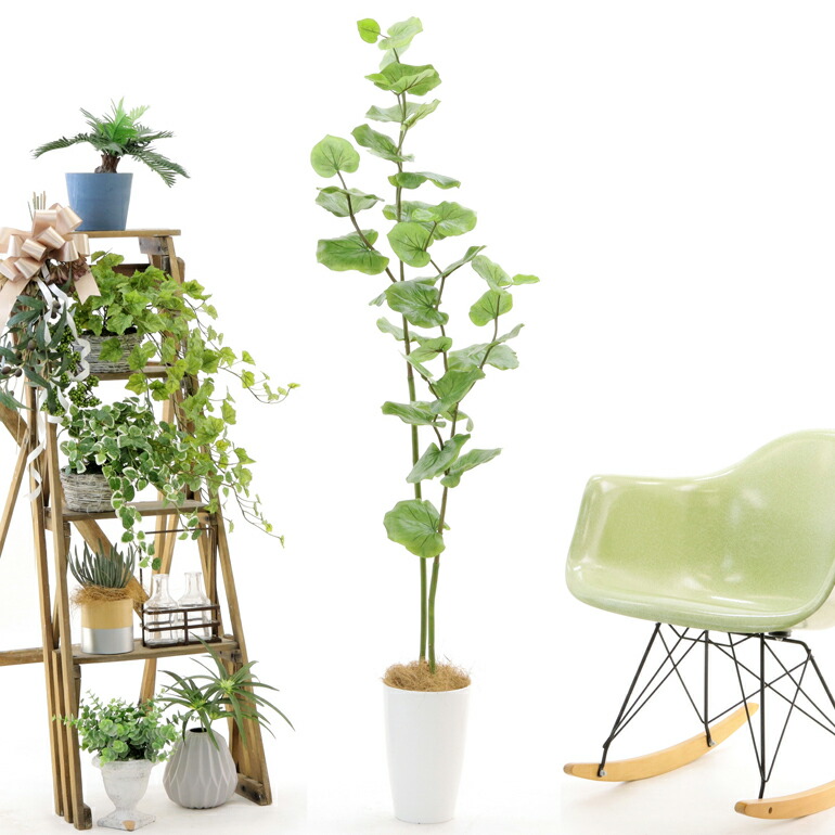 人工 観葉植物 造花 フェイクグリーン 140 150cm シンプル オフィス おしゃれ インテリア 大型 室内 鉢 観葉樹 空気清浄 消臭 抗菌 銀 酸化チタン 光触媒 シーグレープ 2本立 高さ140 150cm 幅40cm 奥行40cm スマートポット Chic7 日時指定 ギフト不可 No Sfeah Com
