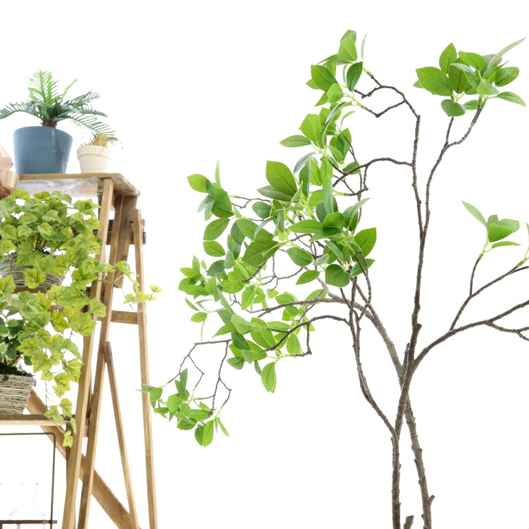 楽天市場 フェイクグリーン 観葉植物 フェイク 室内 大型 鉢 木 おしゃれ 光触媒 造花 リアル インテリア 人気 空気清浄 人工 玄関 リビング オフィス 部屋 爽やか 緑 シンプル 酸化チタン 消臭 観葉樹 ドウダンツツジ 2本立 100cm No Zoukacomショップ 楽天市場店