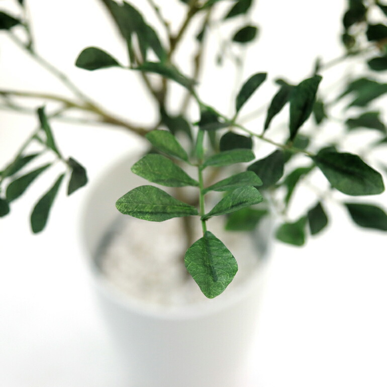 光触媒 人工 観葉植物 造花 観葉樹 フェイクグリーン 100cm シンプル オフィス おしゃれ インテリア 大型 室内 鉢 空気清浄 消臭 抗菌 銀 酸化チタン 擬木 リアル シマトネリコ 高さ100cm 幅55cm 白丸ポット Chic7 日時指定 ギフト不可 No Vmaphotographystudios Com