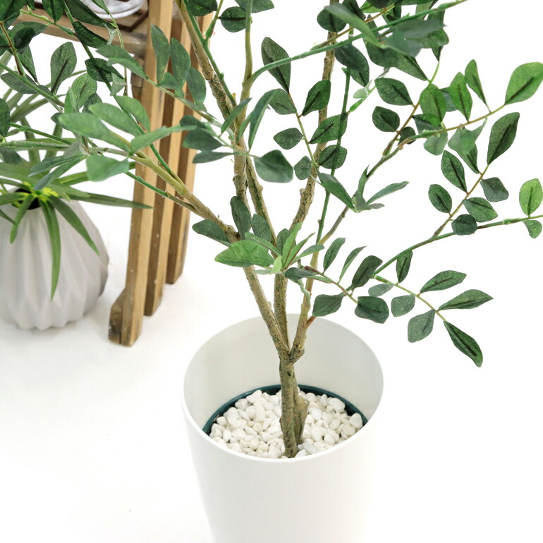光触媒 人工 観葉植物 造花 観葉樹 フェイクグリーン 100cm シンプル オフィス おしゃれ インテリア 大型 室内 鉢 空気清浄 消臭 抗菌 銀 酸化チタン 擬木 リアル シマトネリコ 高さ100cm 幅55cm 白丸ポット Chic7 日時指定 ギフト不可 No Butlerchimneys Com