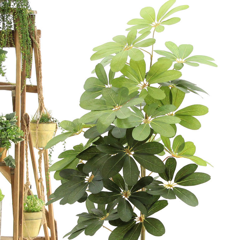 楽天市場 フェイクグリーン 造花 人工 光触媒 観葉植物 観葉樹 100cm 大型 リアル 空気清浄 インテリア おしゃれ フェイク グリーン 玄関 室内 トイレ 部屋 消臭 鉢 人工 銀 酸化チタン シェフレラ カポック 100 105cm 白丸ポット ヤシの繊維 No992 Zoukacomショップ