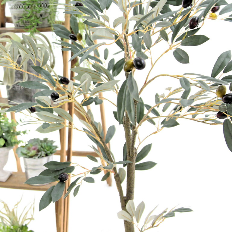 フェイクグリーン 人工 観葉植物 造花 1cm フェイク 奥行60cm 白丸ポット ヤシの繊維付 No 高さ1cm インテリア リアル 室内 初心者 観葉樹 植木 枝 玄関 空気清浄 酸化チタン 大型 木 シンプル 光触媒 幅60cm 部屋 おしゃれ リビング 葉 オフィス 鉢 オリーブ