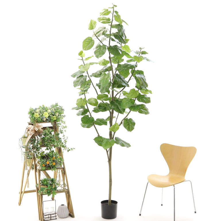 法人宛 限定品 特別価格 人工 観葉植物 造花 フェイクグリーン 230 240cm シンプル オフィス 大型 観葉樹 空気清浄 消臭 抗菌 銀 酸化チタン 光触媒 フィカス ウンベラータ プラ鉢 日付指定 ギフト不可 No9294 変異株の監視 首相は Diasaonline Com