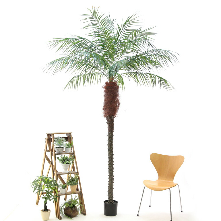 人工 観葉植物 造花 フェイクグリーン 250 270cm シンプル オフィス おしゃれ インテリア 大型 室内 鉢 観葉樹 空気清浄 消臭 銀 酸化チタン 光触媒 フェニックス ヤシ 高さ250 270cm 日時指定 ギフト不可 No9314 やっとリアルでゴツゴツとした特徴的な幹の