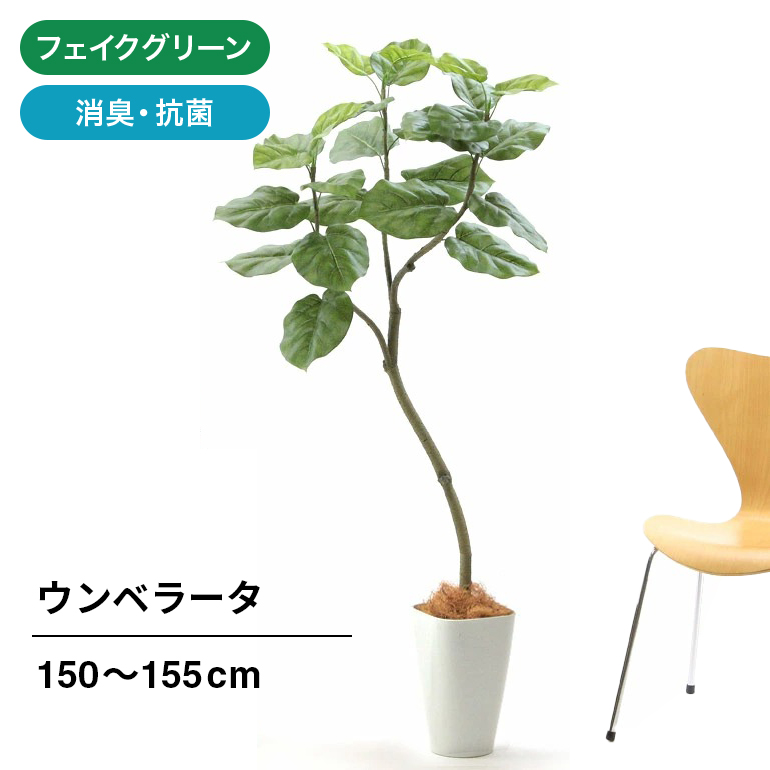 光触媒 人工観葉植物 ウォールグリーン フェイクグリーン ウンベラータ