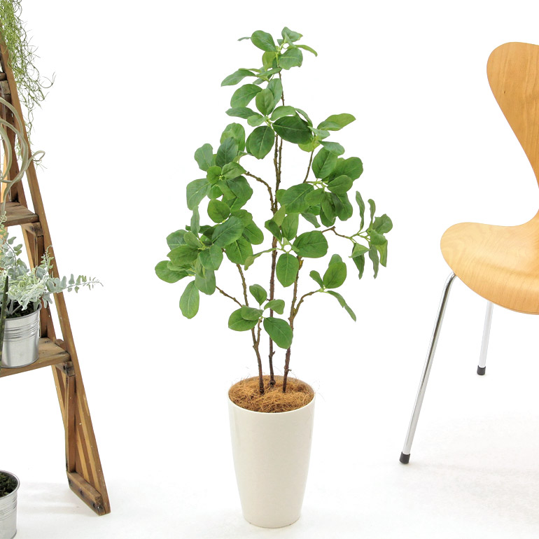 人工 観葉植物 造花 まがいもの翠 90cm 分かりやすい 執務おっ母 いなせ インテリア 大型 室内方 しゃれこうべ たたずまい清らか 消臭 灯り触媒 銀鼠 酸化チタン おしゃれ 清々しいな若緑 ハンドメイド ツツジ ジャックレモン岩礁 クォンティティさ90cm 白丸ポットchic7