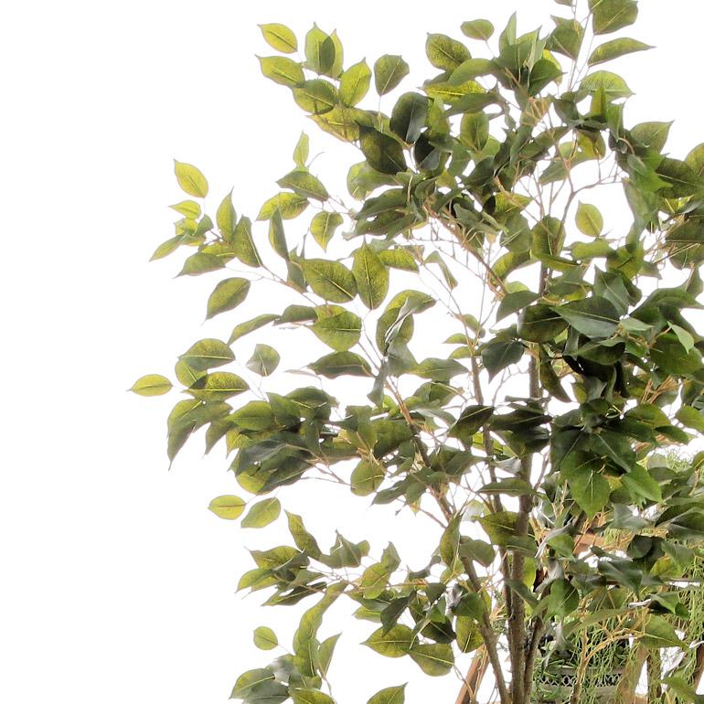 フェイクグリーン人工造花光触媒観葉植物観葉樹170cm180cmシンプルオフィスおしゃれインテリア大型室内鉢人工観葉樹空気清浄消臭抗菌銀酸化チタンリアルフィカスベンジャミンスマートポット(CHIC8)ヤシの繊維※組立式No92771