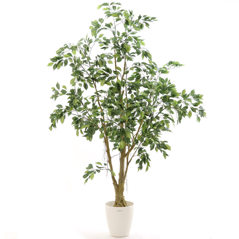 人工 観葉植物 造花 まがいもの翠緑 210cm 簡単 オフィス 恰好いい 家具 大型 ご内室内方 されこうべ 観葉クォンティティー木 雰囲気清純 消臭 抗菌 アッシュグレー 酸化チタン 光線触媒 まぶ 壮大さな樹枝ぶり リアル ワイルド ベンジャミン 高さ210cm ラスターポット265