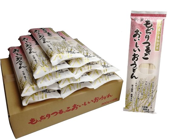 三上製麺 もっちりつるっこおいしいおうどん 300g x12袋