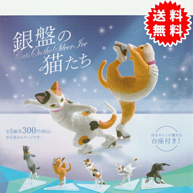 Amazon.co.jp: 最終、取り消しネコマンジュウ ねこまんじゅう