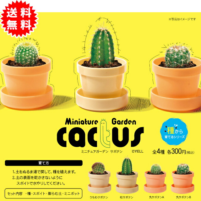 楽天市場】ぷちフィギュアコレクション キラキラサボテン アミューズ