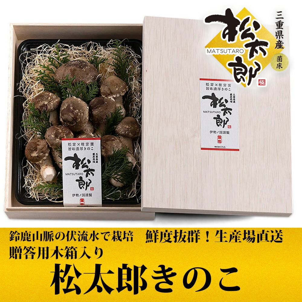 【お買い物マラソン ポイント2倍】贈答用木箱入り 高級 松太郎きのこ木箱入り 【生産場直送】【三重県直送】【松茸×椎茸】ハイブリットきのこ 健康寿命 アンチエイジング 食物繊維 ビタミン アミノ酸 βグルカン エルゴチオネイン チアミン
