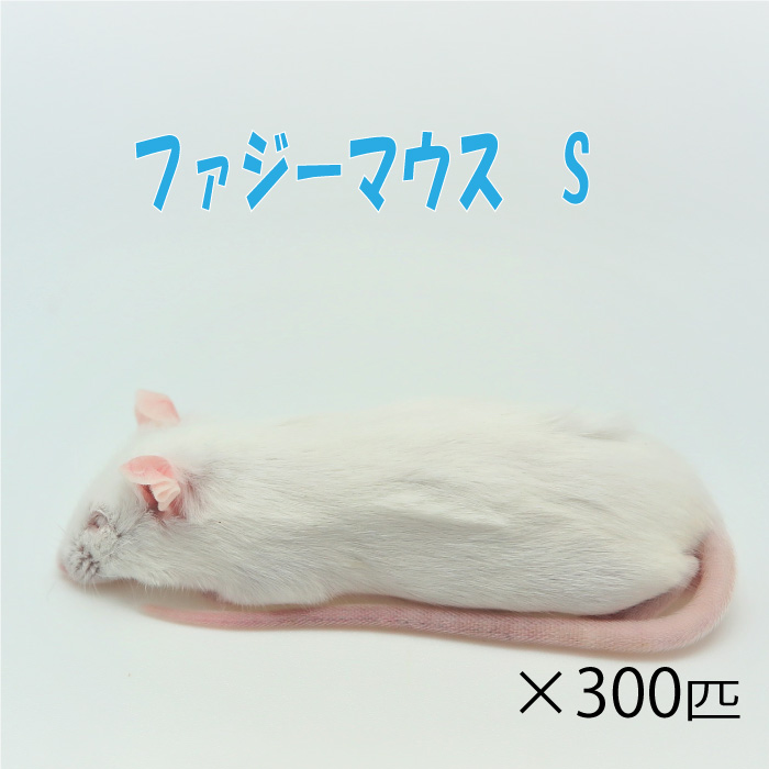 冷凍ファジーSマウス 300匹 餌 冷凍ネズミ 約5.0cm エサ 匹 ネズミ 冷凍 冷凍マウス ホワイトマウス 富城