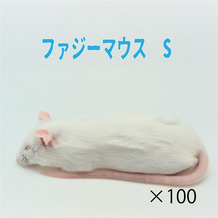 楽天市場】冷凍ファジーマウス 100匹 : WAJO CLUB 楽天市場店