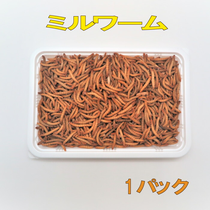 楽天市場】冷凍ミルワーム 1kg×2袋 : WAJO CLUB 楽天市場店