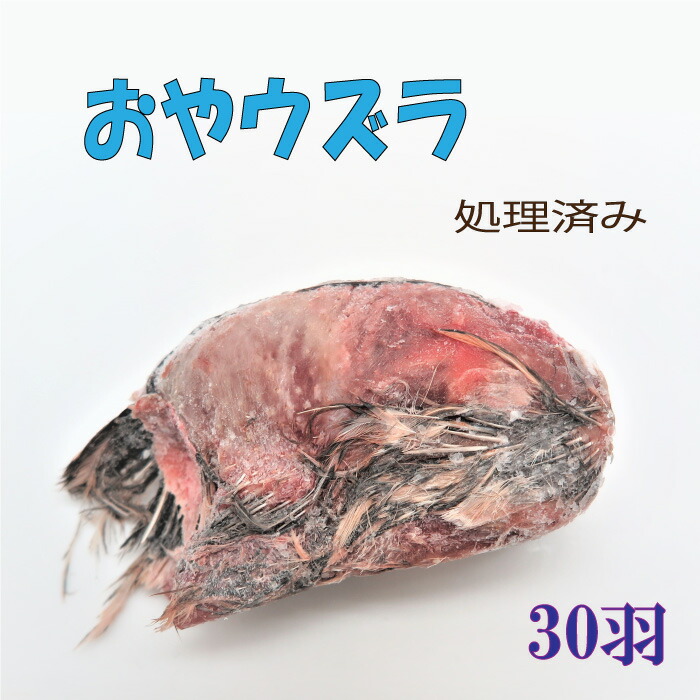 冷凍親ウズラ おやウズラ エサ 冷凍 国産 親うずら 30羽 頭 羽 足 内臓処理済み 富城物産 親ウズラ爬虫類 猛禽類用 トカゲ ヘビ イグアナ  フクロウ 冷凍クール便配送 高級品市場