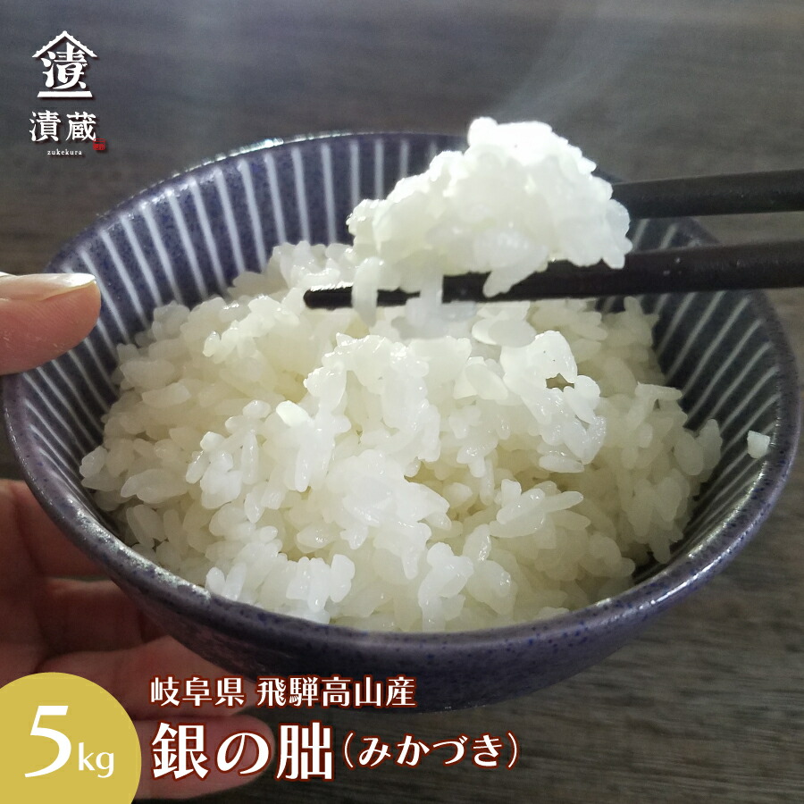 白米 新米