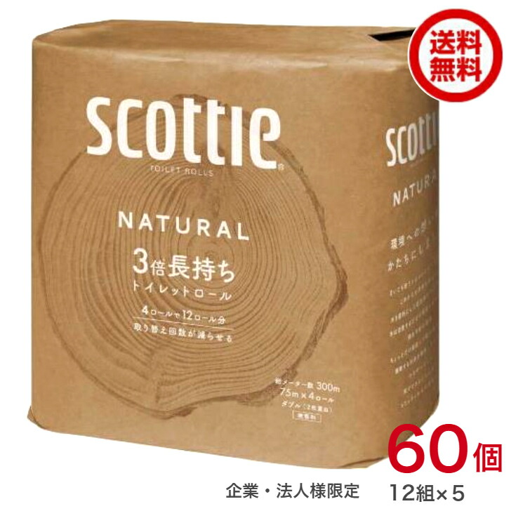 値引き スコッティ 3倍長持ち4ロールダブル75ｍ 12組×5ケース 60ケ 送料無料 2924143 fucoa.cl