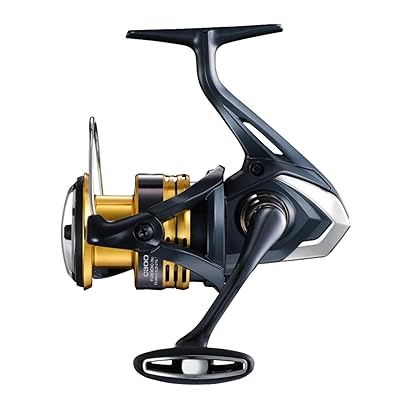 スピニングリール 22 スペイン領サハラ C3000