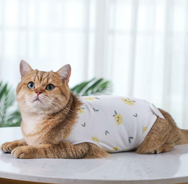 術後服 猫 猫用 ペット術後ウェア 介護服 術後着 術後 手術 皮膚保護 不妊手術 傷口保護 避妊 傷舐め 引っ掻き防止 手術用 男の子 女の子 男女兼用 ネコ 動物病院 抗菌 消臭 快適 乳腺腫瘍 キャットウェア 犬 猫の服 S M L 79 以上節約