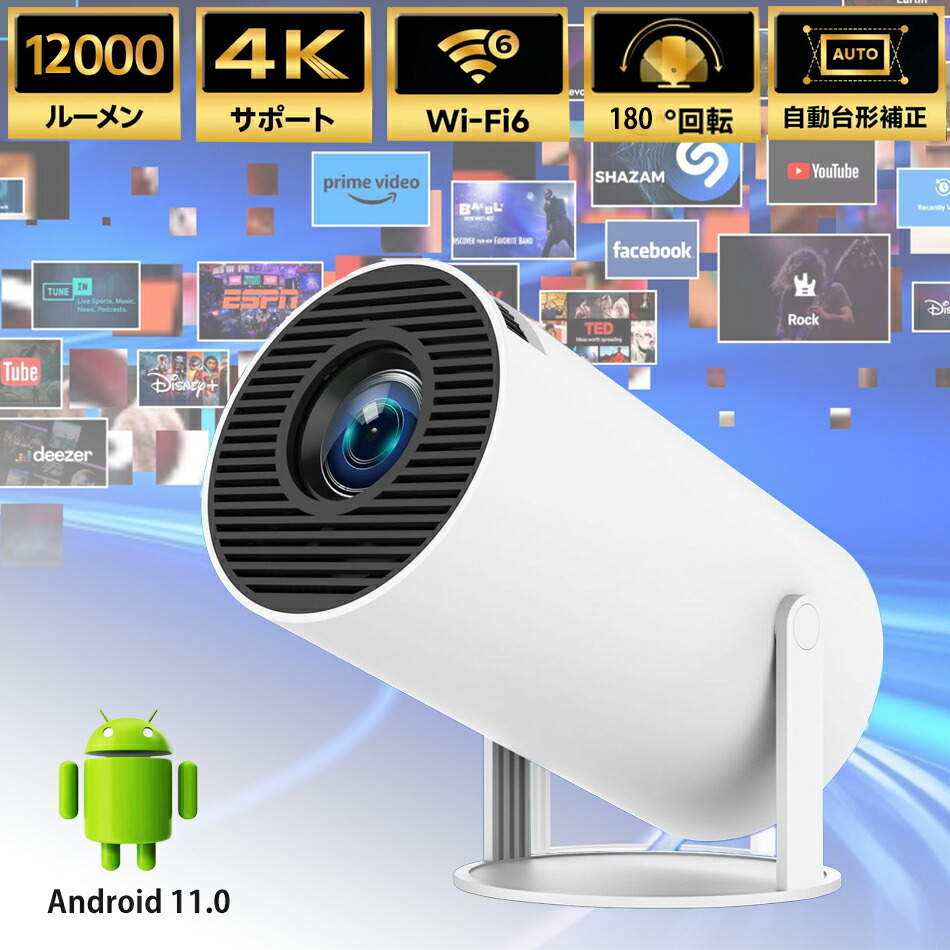 qs-650.jpg
